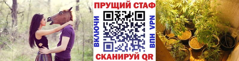 Сколько стоит Нововоронеж Псилоцибиновые грибы  Alpha-PVP  АМФ  Канабис  КОКАИН  Меф мяу мяу  ГАШ 