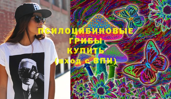 соль ск Алексеевка