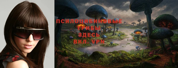 соль ск Алексеевка