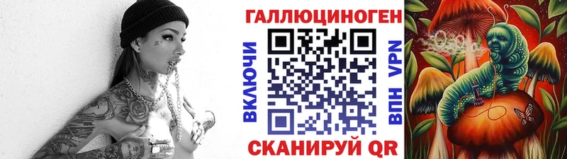 ссылка на мегу ТОР  Нововоронеж  Псилоцибиновые грибы GOLDEN TEACHER  купить  